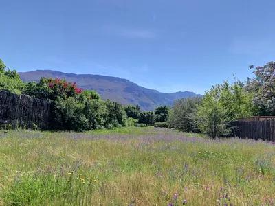 Vacant Land For Sale in Caledon - img