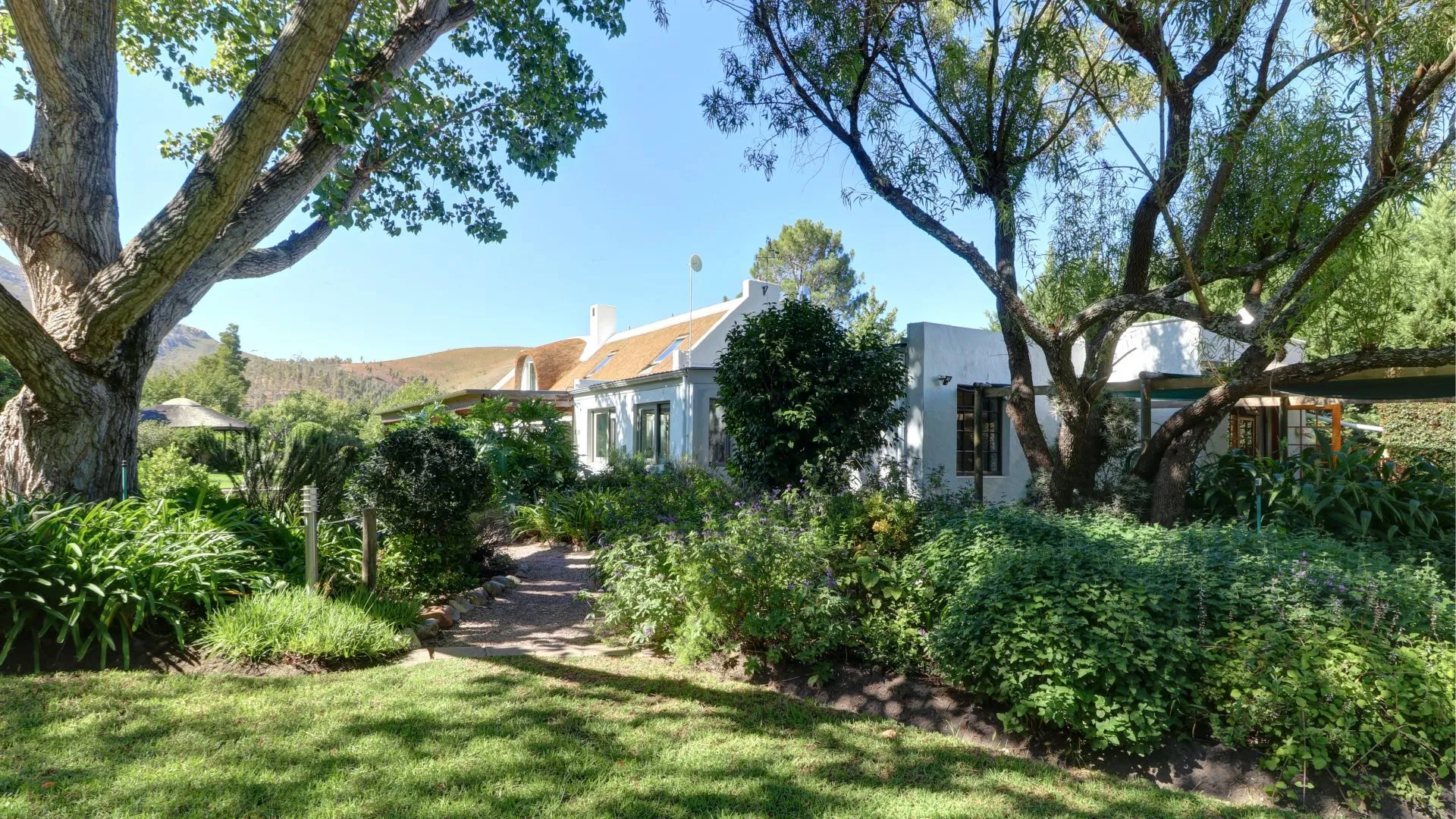 Carousel Indicator - l1kQ.webp