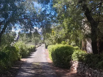 4 Bedroom House For Sale in Graaff-Reinet - 3PYy.webp