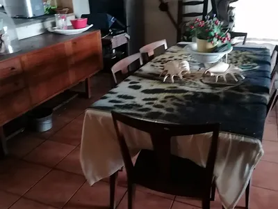 5 Bedroom House For Sale in Koppies - jnem.webp