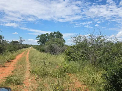 Farm For Sale in Tom Burke - Hebb.webp