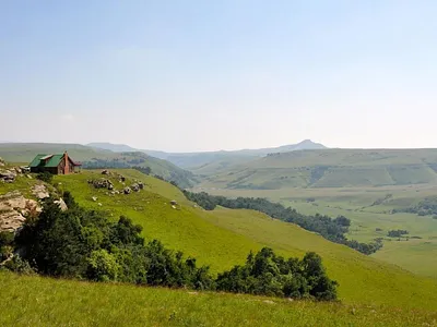 Farm For Sale in Newcastle - AvRD.webp