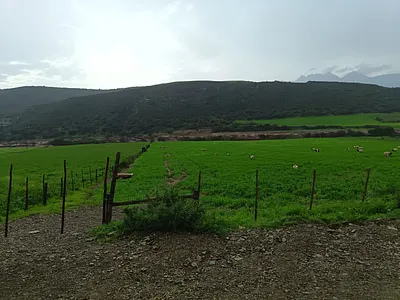 Farm For Sale in Oudtshoorn - ox6J.webp