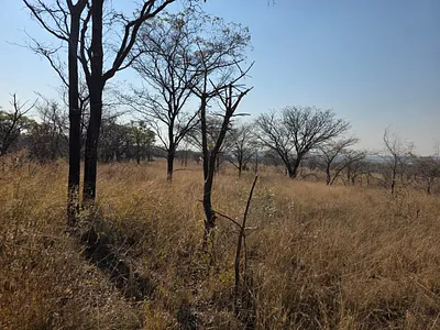 Farm For Sale in Pretoria - somh.webp