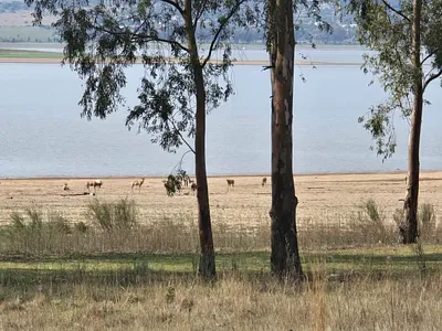 Vacant Land For Sale in Oranjeville - 18mX.webp