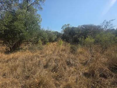 Vacant Land For Sale in Modimolle - esig.webp