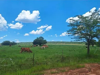 Farm For Sale in Modimolle - ptHW.webp