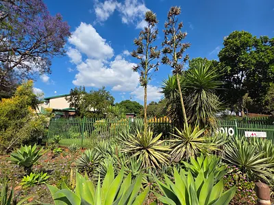 3 Bedroom Apartment For Sale in Pretoria - 3Tyj.webp