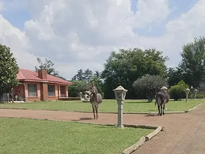 Farm For Sale in Meyerton - kFOo.webp