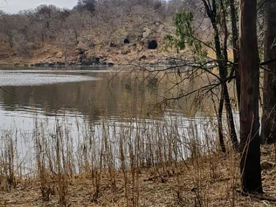 Vacant Land For Sale in Parys - uxZP.webp