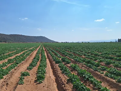 Farm For Sale in Modimolle - 0oHA.webp