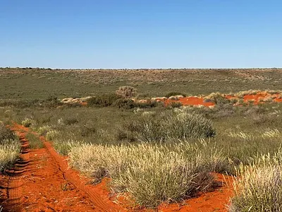 Farm For Sale in Upington - AZJW.webp