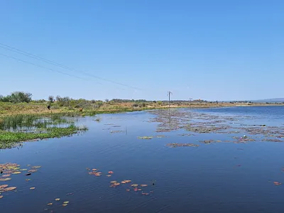 Farm For Sale in Modimolle - nlHe.webp