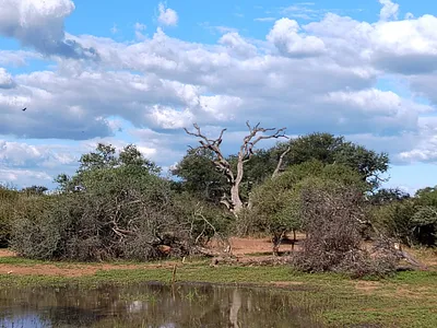 Farm For Sale in Tom Burke - 1Y96.webp