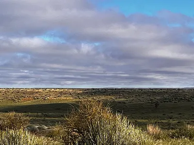 Farm For Sale in Upington - bP0y.webp