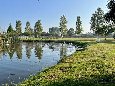 Vacant Land For Sale in Vereeniging - uEGO.webp