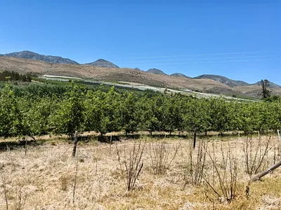 Farm For Sale in Uniondale - o9Km.webp