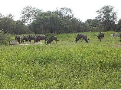 Farm For Sale in Lephalale - cmM2.webp