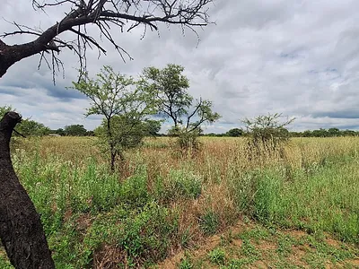 Vacant Land For Sale in Pretoria - tKFH.webp