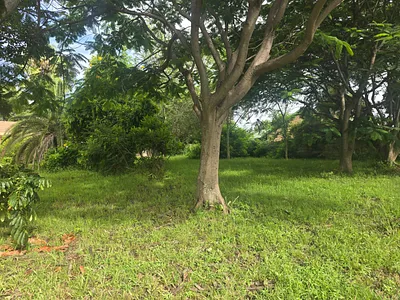 Vacant Land For Sale in Bela Bela - Ra5z.webp