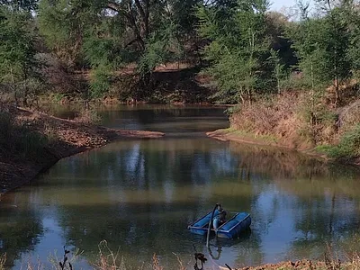 Farm For Sale in Tom Burke - Gy2L.webp