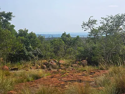 Vacant Land For Sale in Bela Bela - GBt5.webp