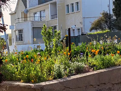 Commercial Property For Sale in Uniondale - 42ko.webp