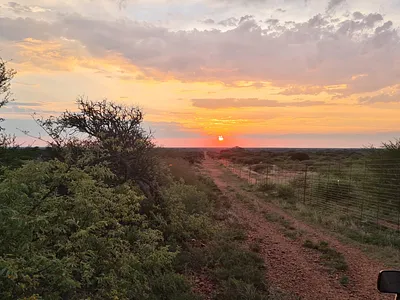 Farm For Sale in Thabazimbi - e8DF.webp