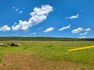 Farm For Sale in Modimolle - rNKr.webp