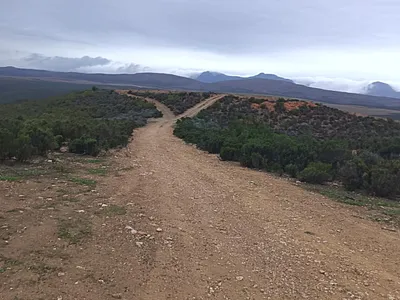 Farm For Sale in Oudtshoorn - img