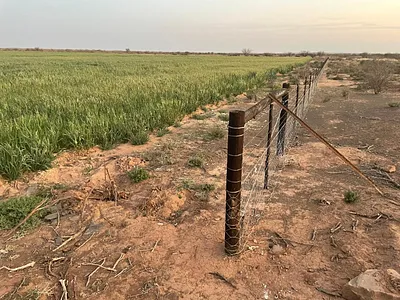 Farm For Sale in Beaufort West - img