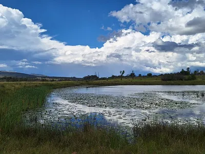 Farm For Sale in Modimolle - img