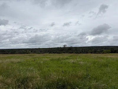 Farm For Sale in Modimolle - JrdV.webp