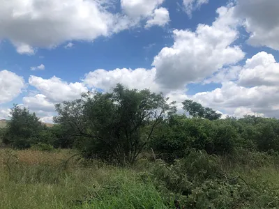 Vacant Land For Sale in Akasia - lptc.webp