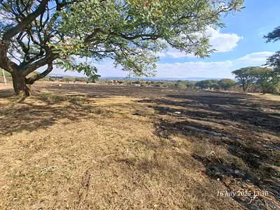 Vacant Land For Sale in Newcastle - yXOf.webp
