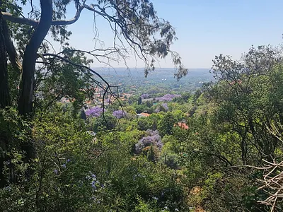 4 Bedroom House For Sale in Johannesburg - QkpC.webp