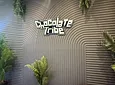 Carousel Indicator - S6gS.webp