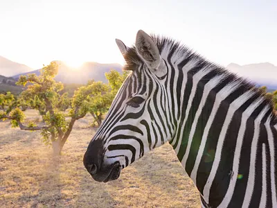 6 Bedroom House For Sale in Paarl - img