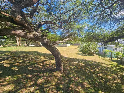 Vacant Land For Sale in St Lucia - JBZU.webp