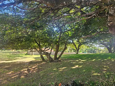 Vacant Land For Sale in St Lucia - cQpq.webp