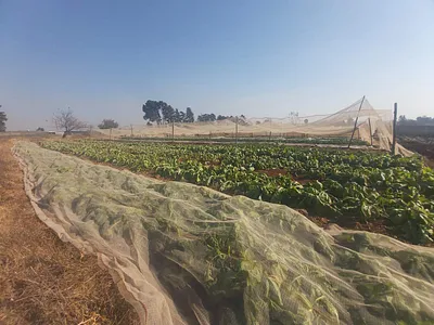 Farm For Sale in Welgedag, Springs - img