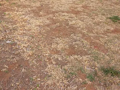 Vacant Land For Sale in Bakerton, Springs - img