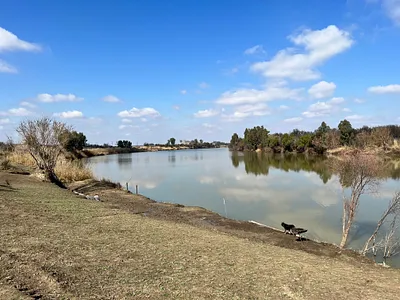 Farm For Sale in Barkly West - img