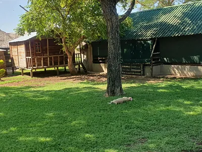Farm For Sale in Marble Hall - KG0n.webp
