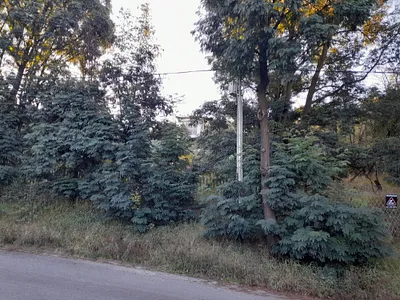 Vacant Land For Sale in Randburg - img