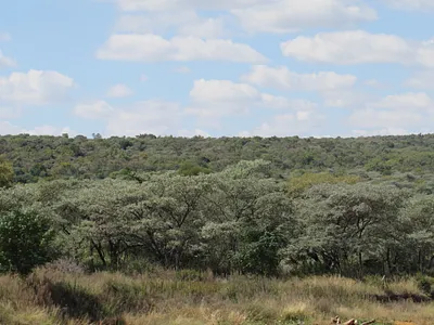 Farm For Sale in Cullinan - img