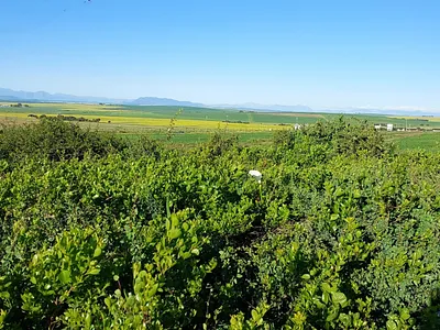 Vacant Land For Sale in Darling - xF8r.webp