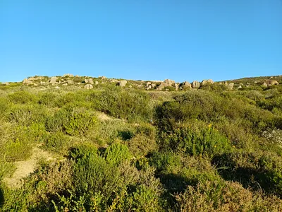 Vacant Land For Sale in St Helena Bay - jO1m.webp