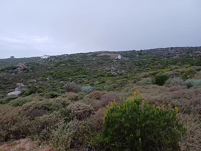 Vacant Land For Sale in St Helena Bay - qcks.webp