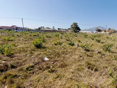 Vacant Land For Sale in Hermanus - rLnN.webp